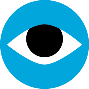 Window icon